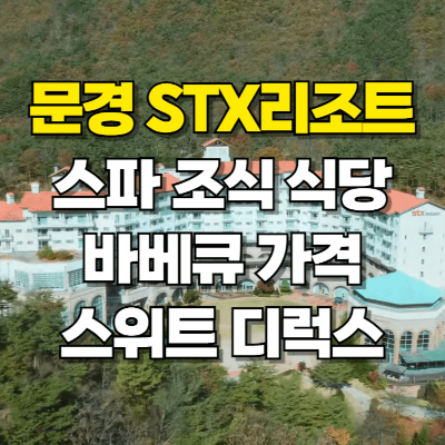문경 STX 리조트 스파 조식 바베큐 스위트 디럭스 가격 카드뉴스