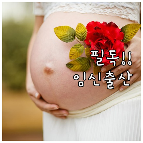 2025년 저소득층 임산부 필독! 의..