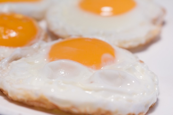 콜레스테롤 정상수치