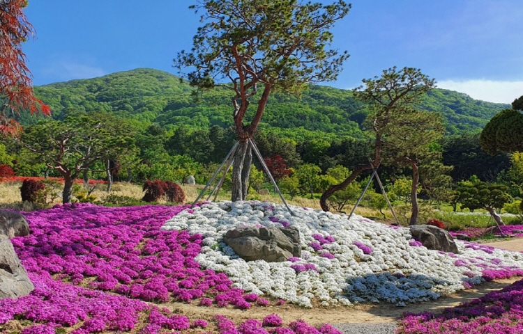 칠곡 가볼만한곳