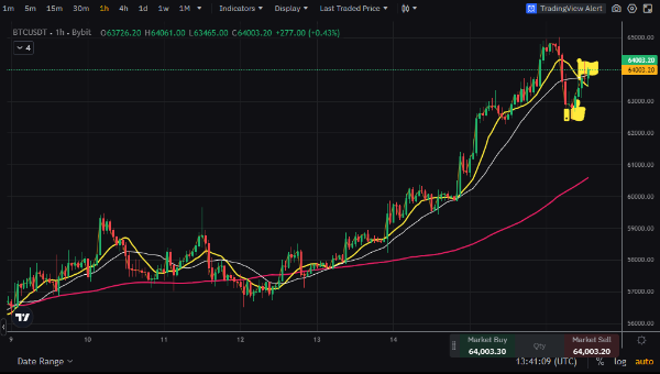 비트코인 1시간봉