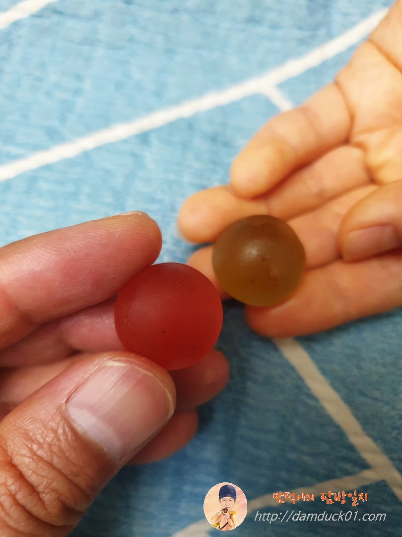 두 가지 색상의 장수꾸미 젤리