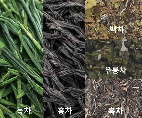 우측부터 녹차, 홍차, 그리고 가장 좌측은 위, 중간, 아래로 삼 등분, 각각 백차, 우롱차, 흑차