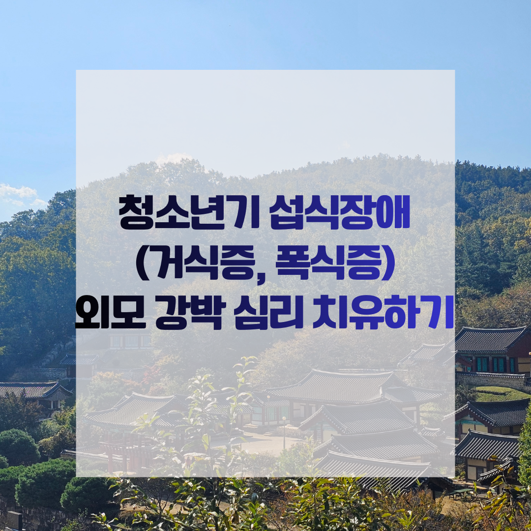 청소년기 섭식장애(거식증, 폭식증), 외모 강박 심리 치유하기