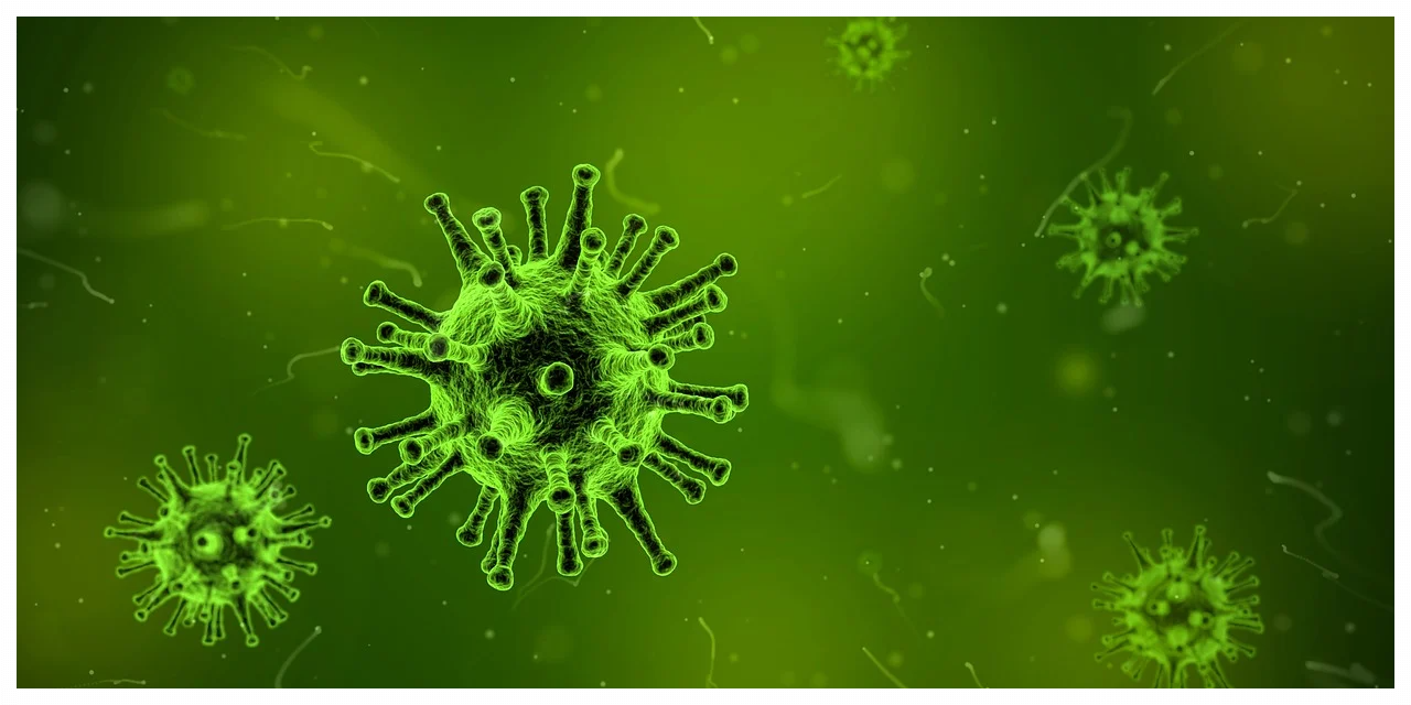 코로나 예방접종 비용 상세 안내