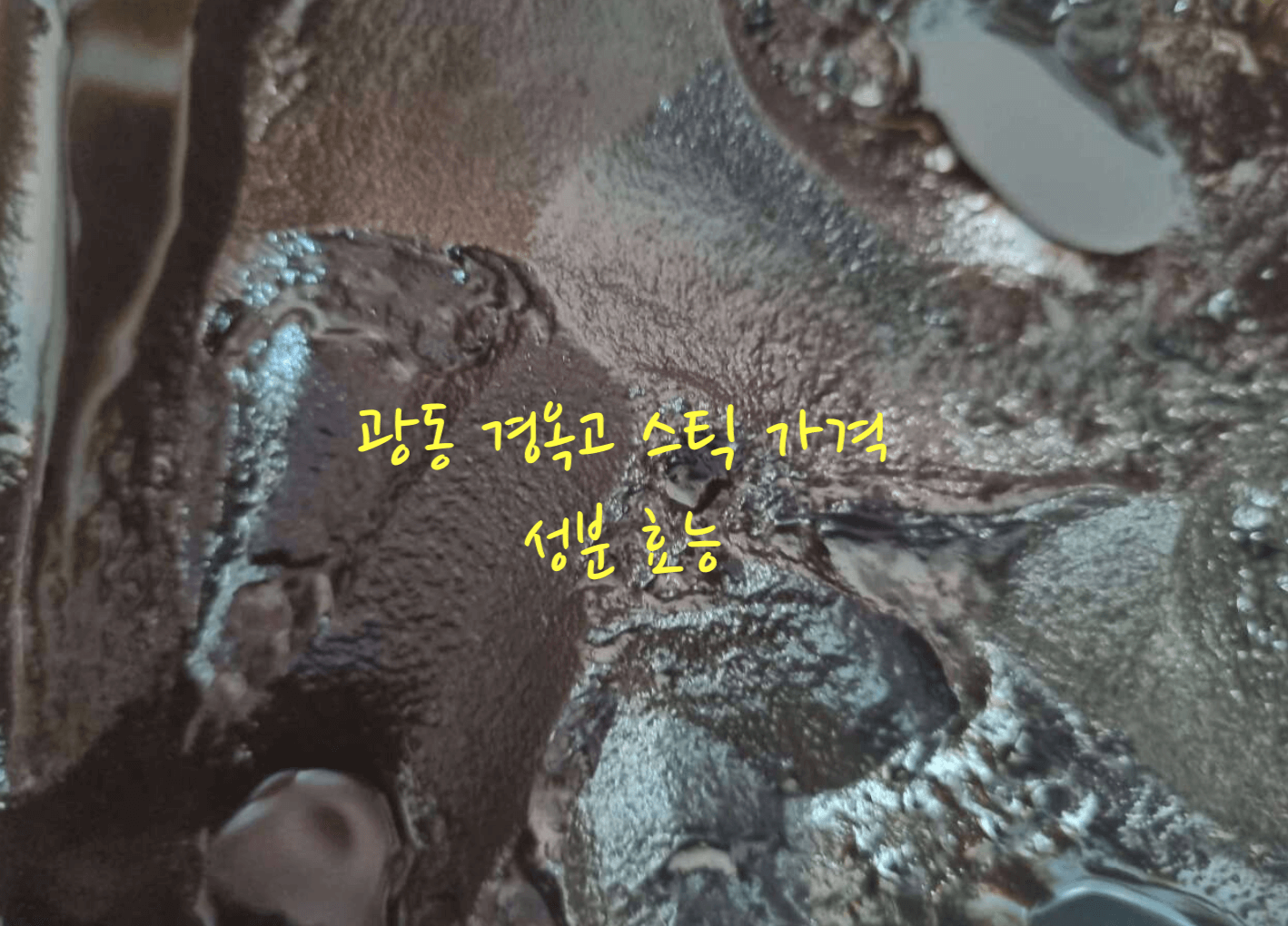 광동 경옥고 가격