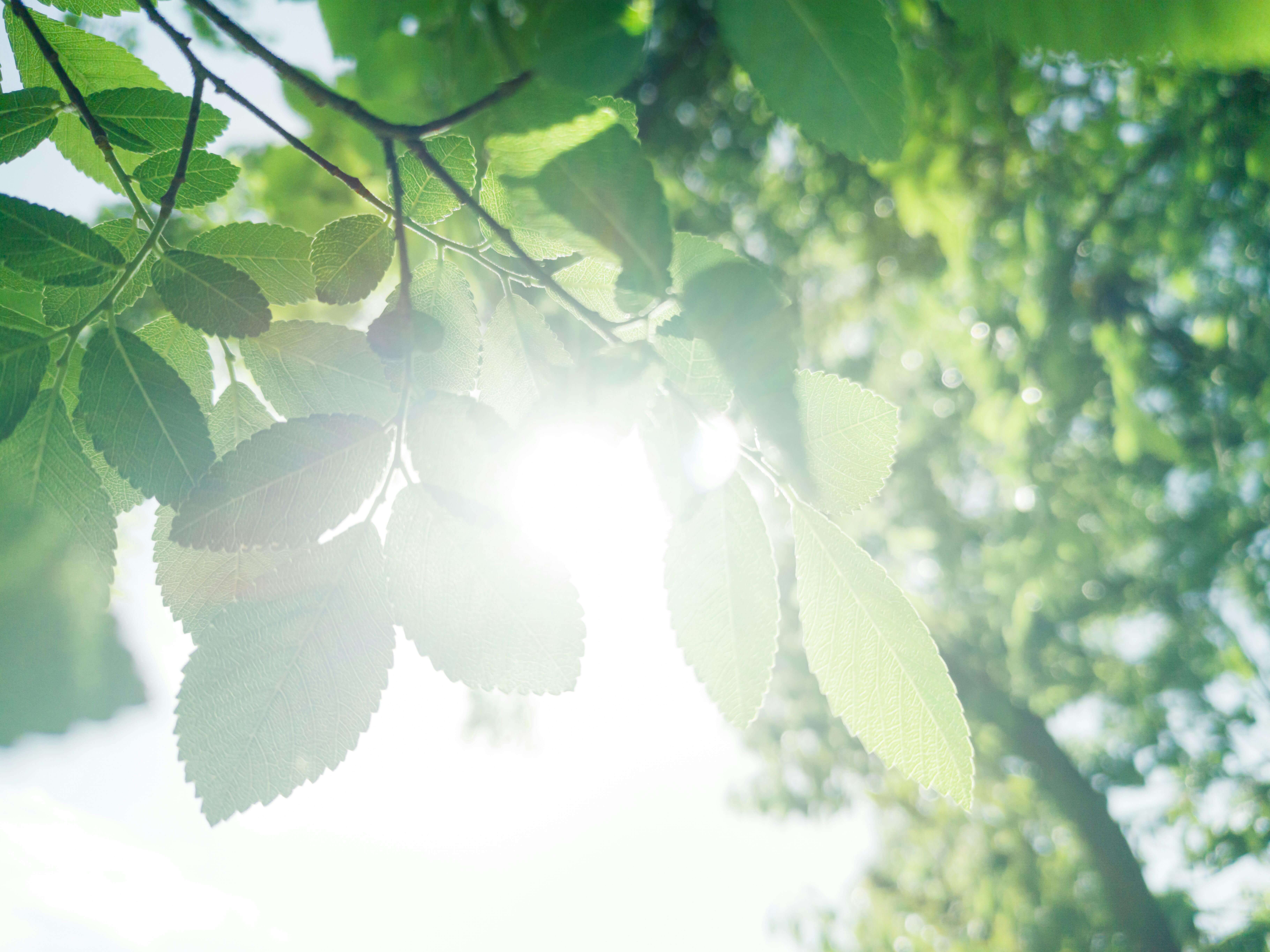 자외선 알레르기 증상 총정리|가려움부터 발진까지 꼭 알아야 할 정보