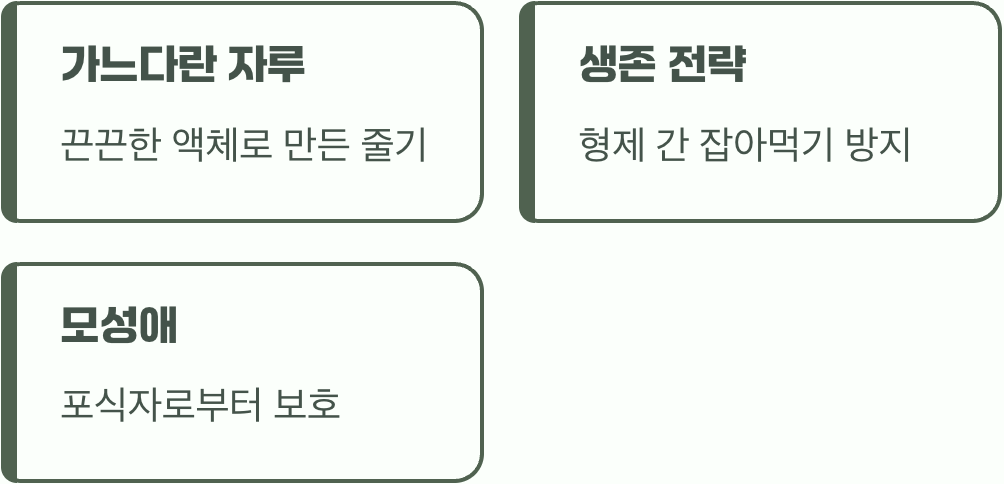 왜 꽃처럼 보일까?