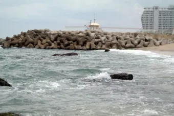 강원도 경포대 해수욕장과 강릉 가볼만한곳 best5 여행 자료집_15