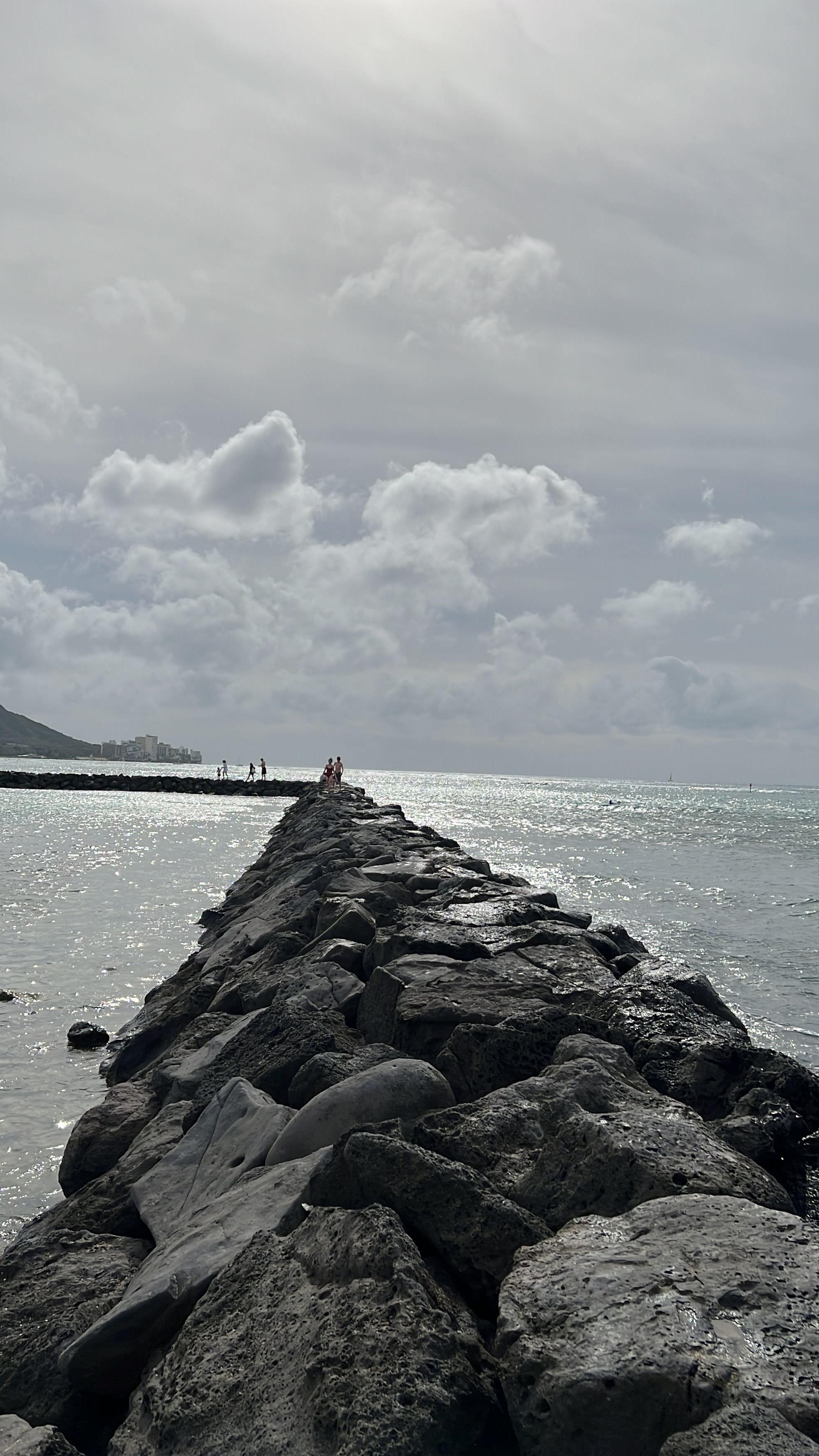 크리스마스-하와이여행-힐튼-와이키키