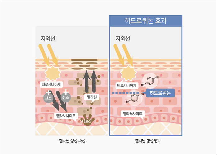 도미나크림 효과, 가격, 사용법, 약국