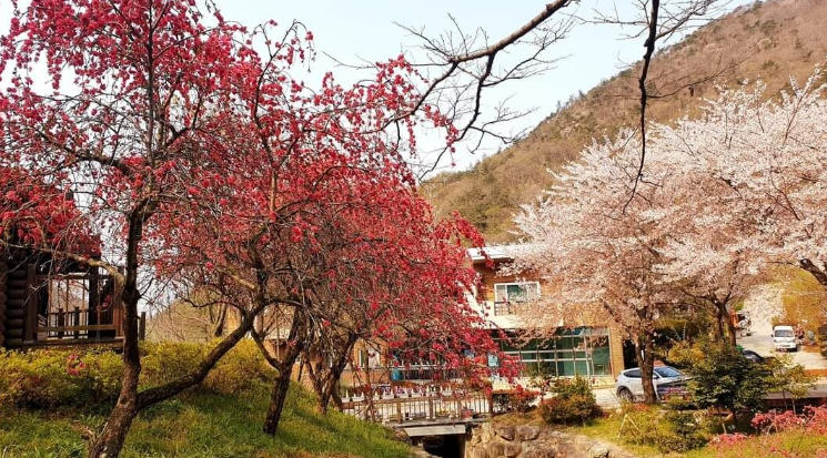 흑석산자연휴양림