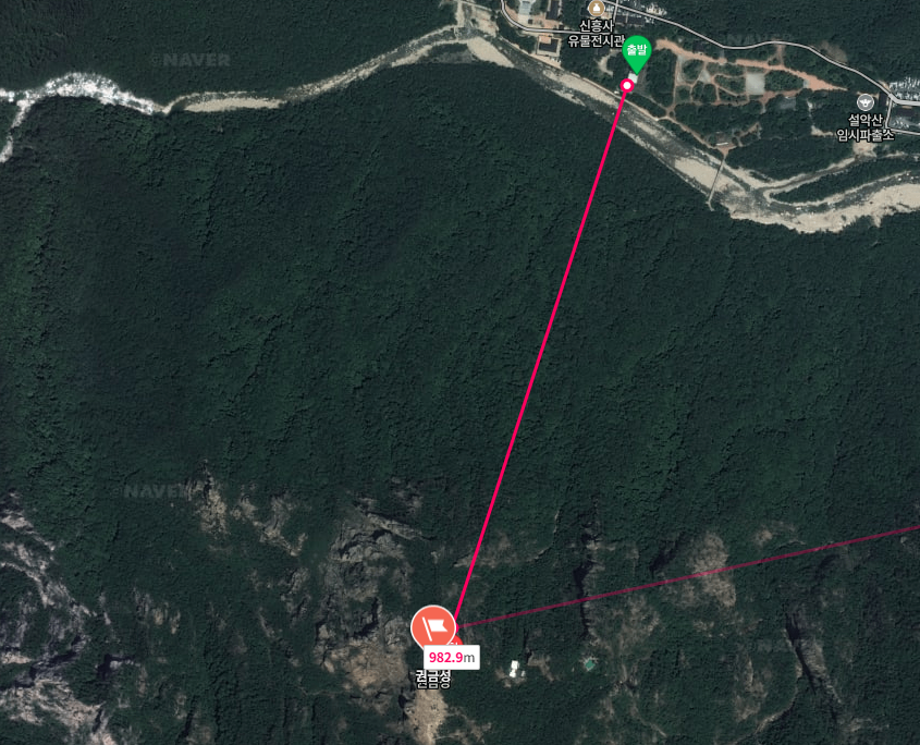 대한민국단풍 단풍여행 가을여행 단풍명소 2025단풍시기