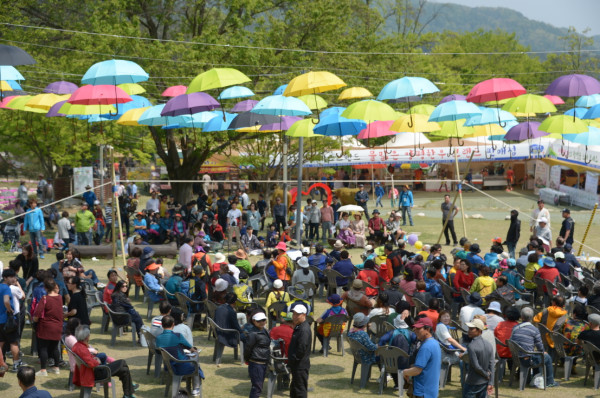 용문산 산나물 축제