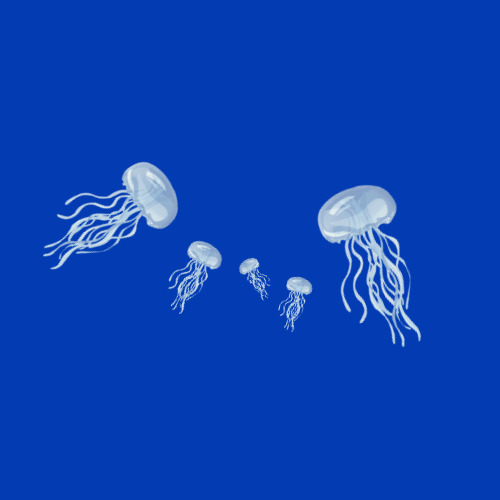해파리경보2