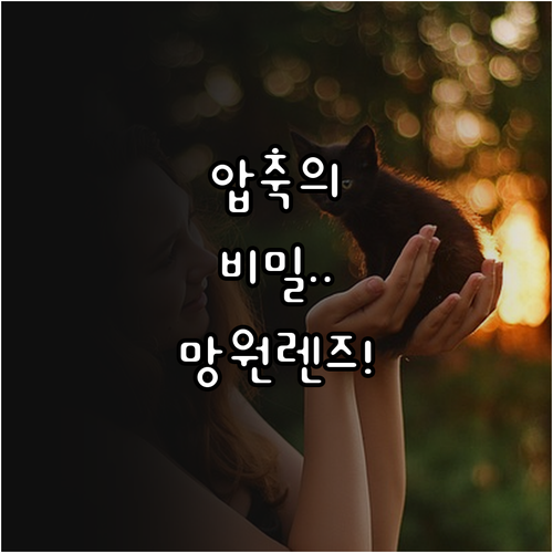 원근감 압축과 얕은 심도 망원렌즈의 ..