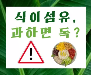 식이섬유, 많이 먹으면 독?! 😱 식이섬유 건강하게 섭취하는 법!