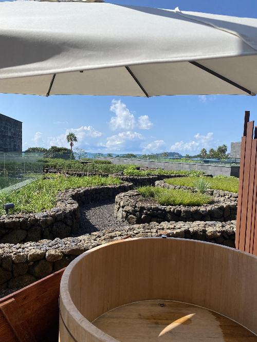 JW 메리어트 제주 히노끼