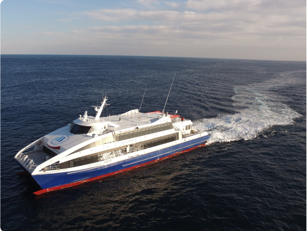 씨플라워호 (대아고속해운)