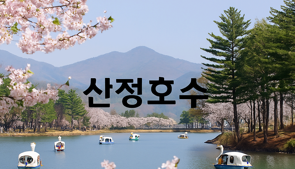 [반려동물 여행]강아지랑 산정호수로 힐링 여행❘ 포천 애견동반 산책 코스 &amp; 숙소·맛집 총정리