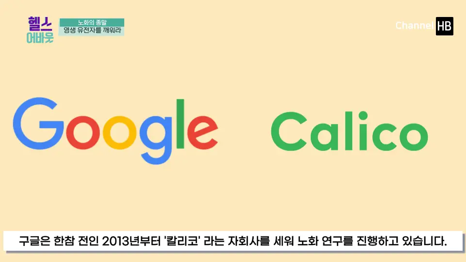 NMN효능