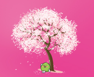 전남 광양 매화 축제