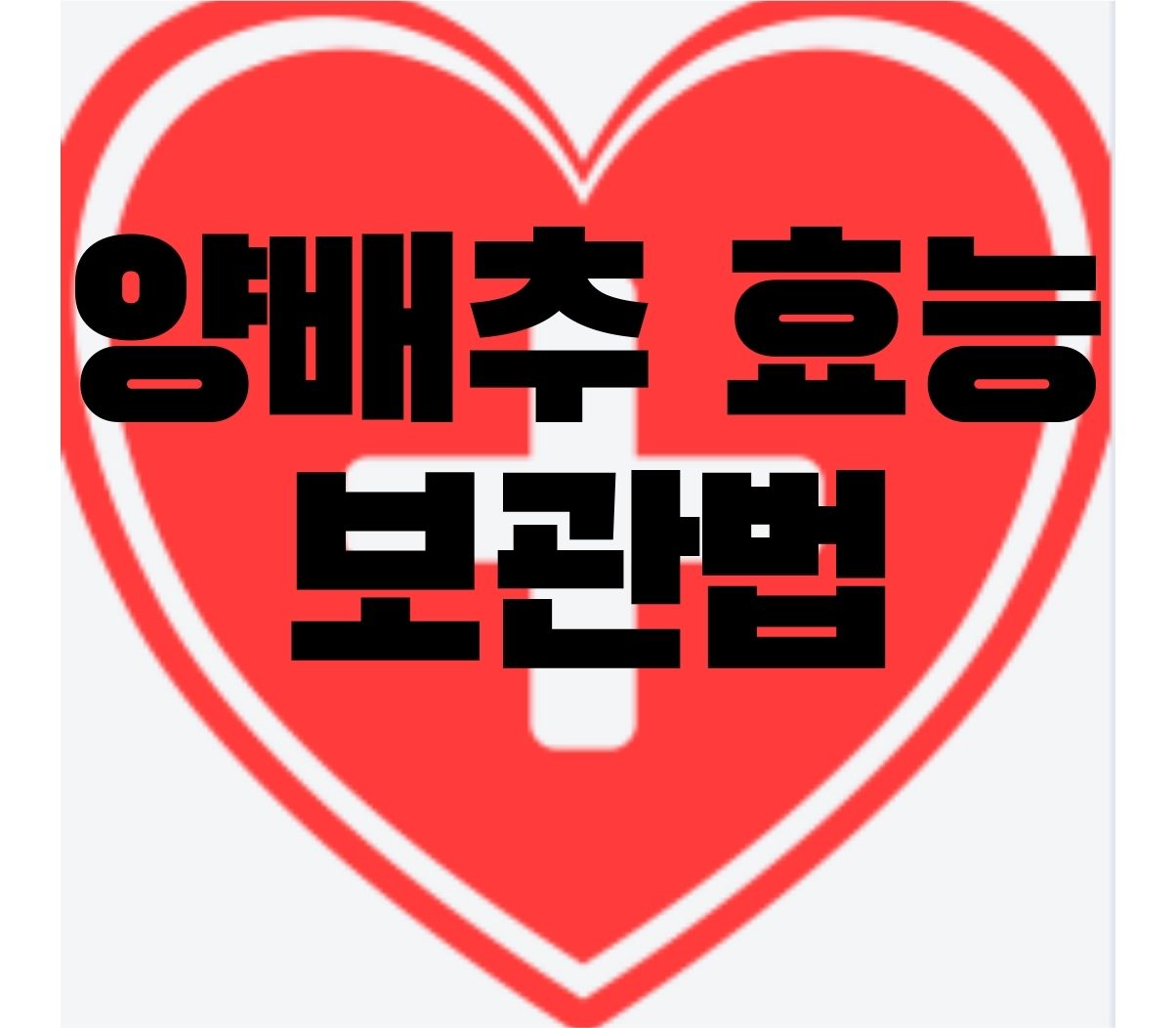 양배추-효능