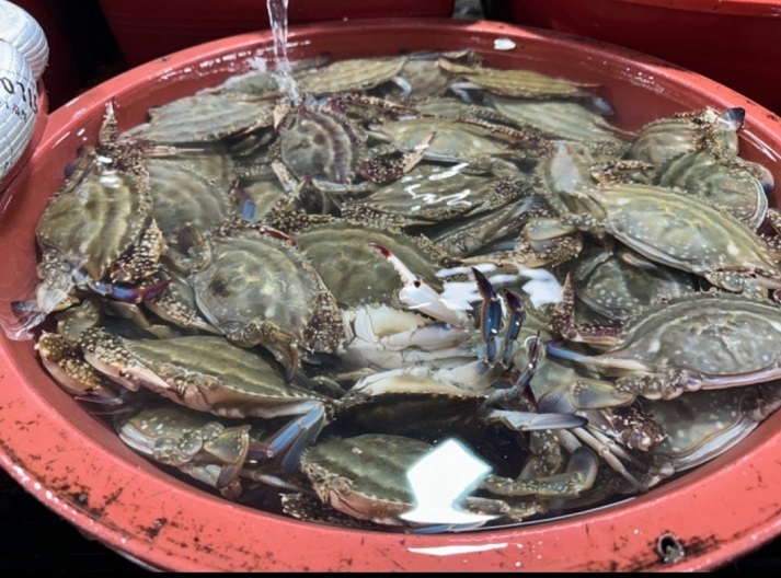 백반기행-진도-간장게장-복성식당