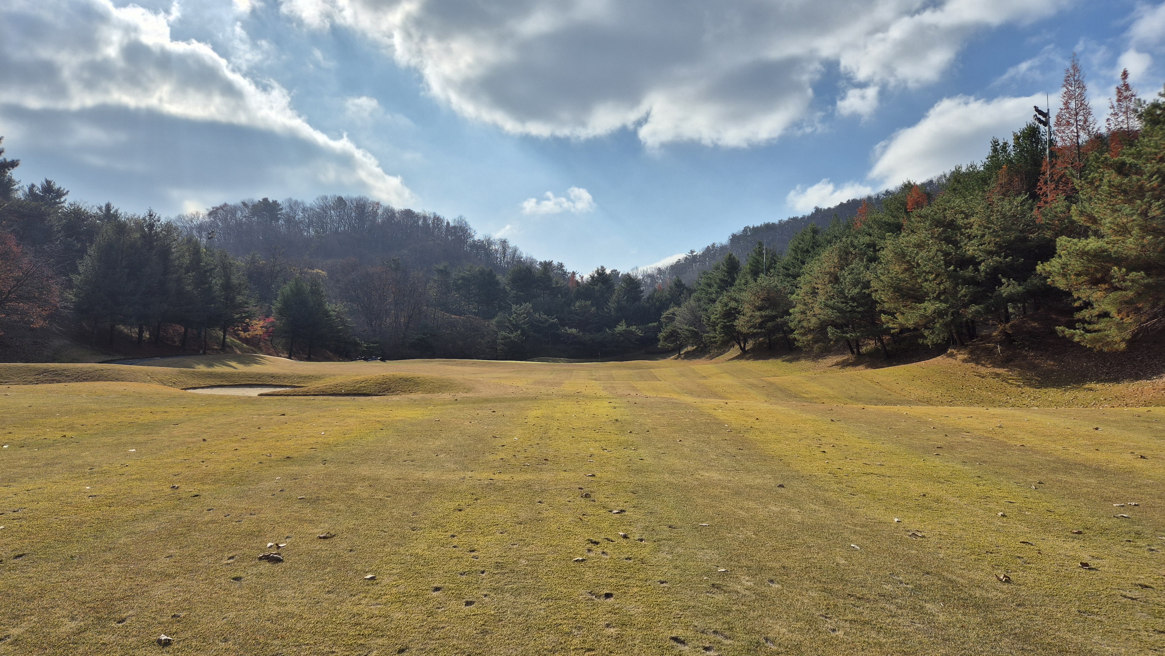 올데이 떼제베cc 누리코스 사진 및 공략 정보