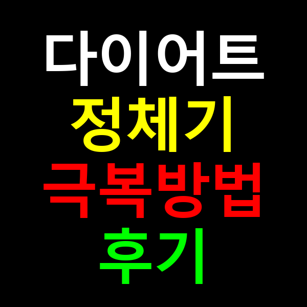 다이어트 정체기 극복방법