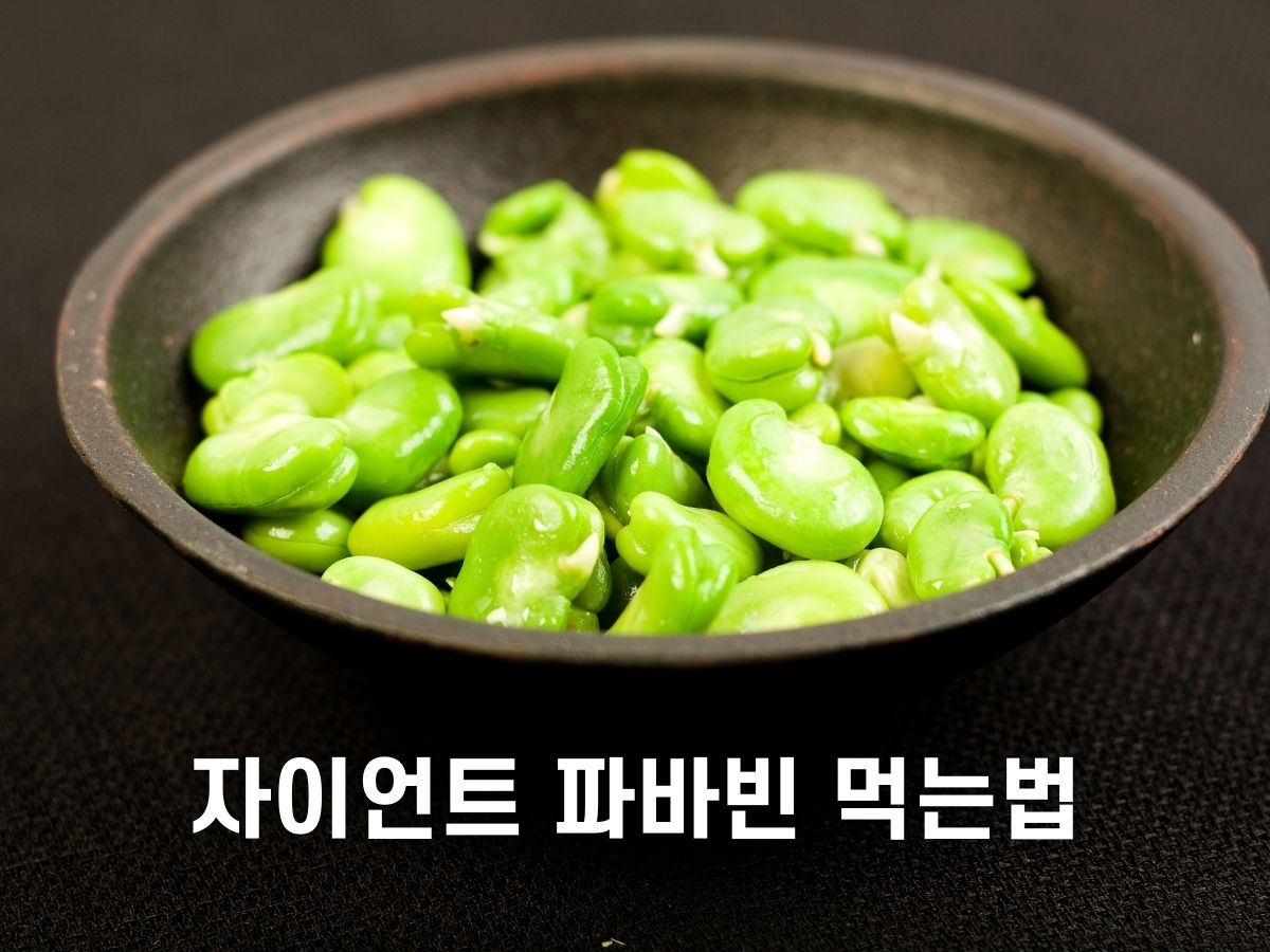 자이언트 파바빈 먹는법