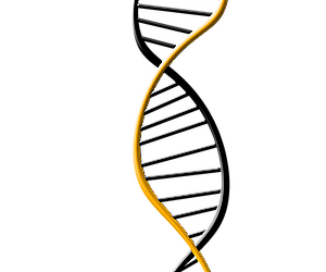 DNA