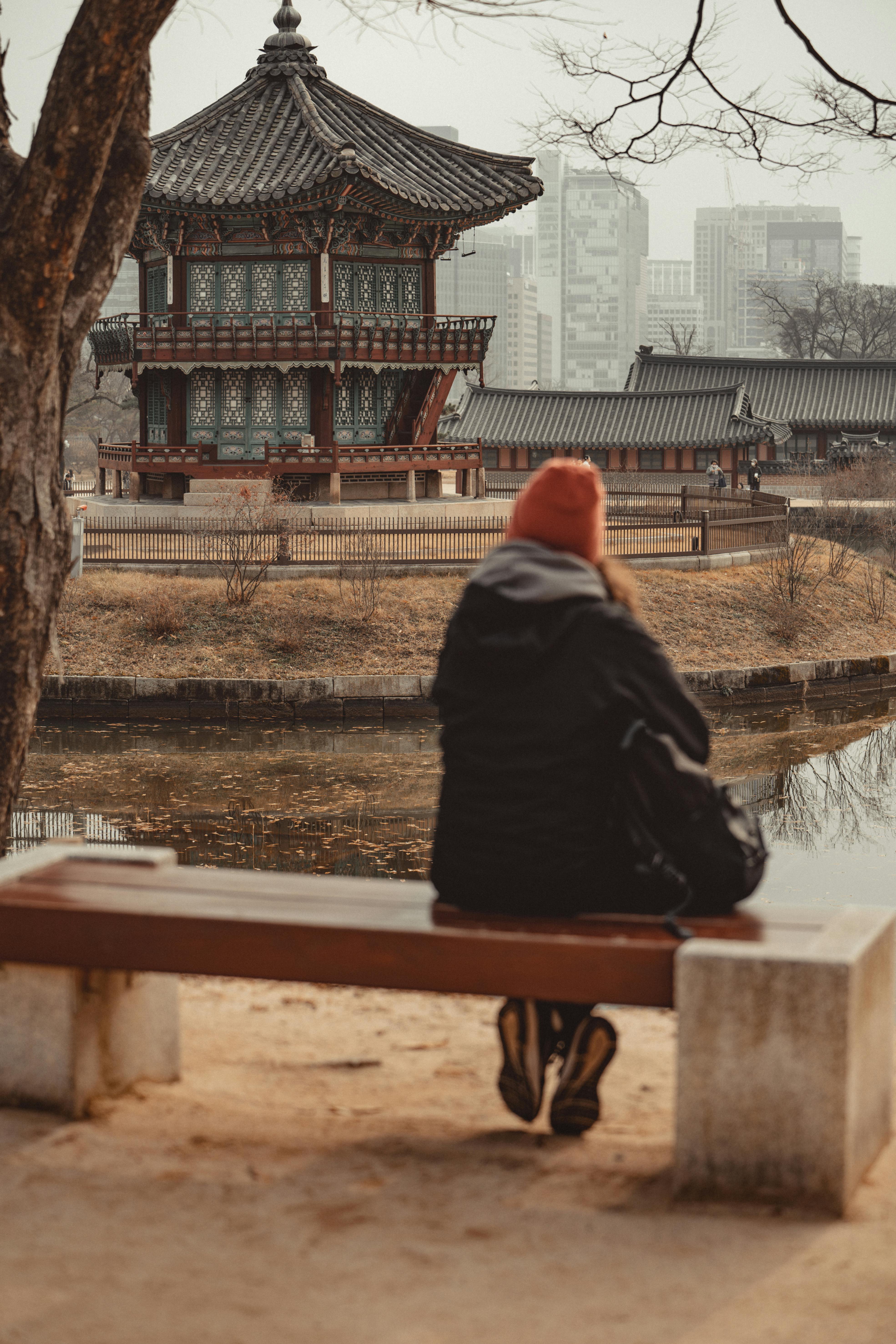 궁&middot;능 무료 개방