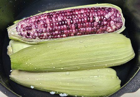 옥수수 삶기전 전기압력솥에 넣은 모습