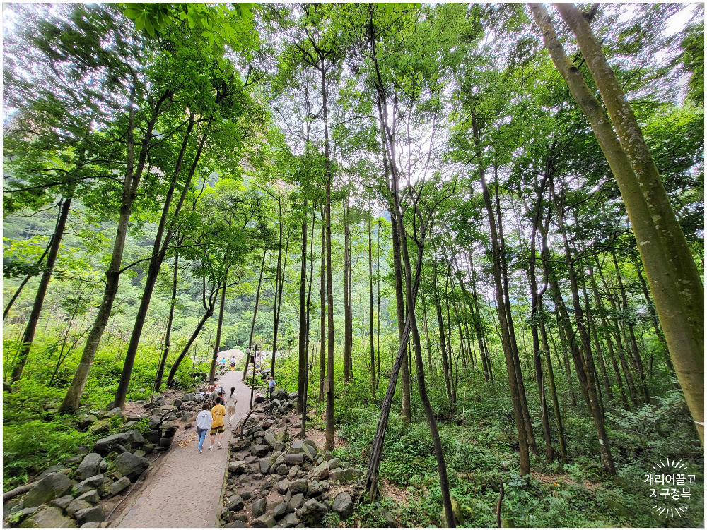 장가계 무릉원 풍경구 십리화랑