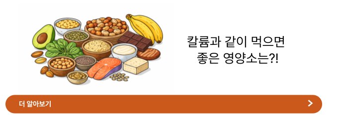 칼륨이 많은 음식