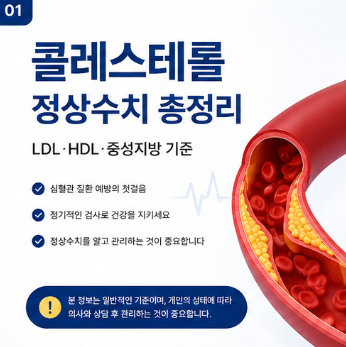 콜레스테롤 정상수치를 먼저 이해해 보세요