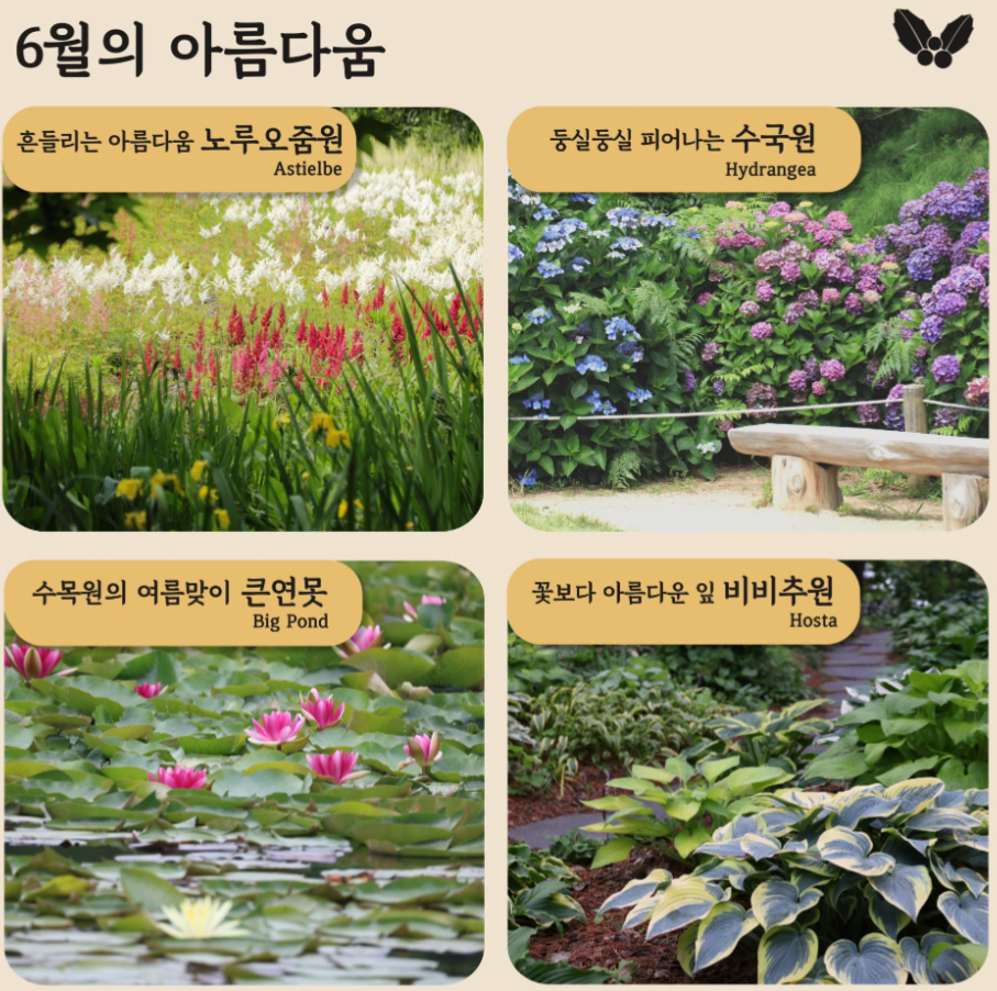 천리포수목원 6월