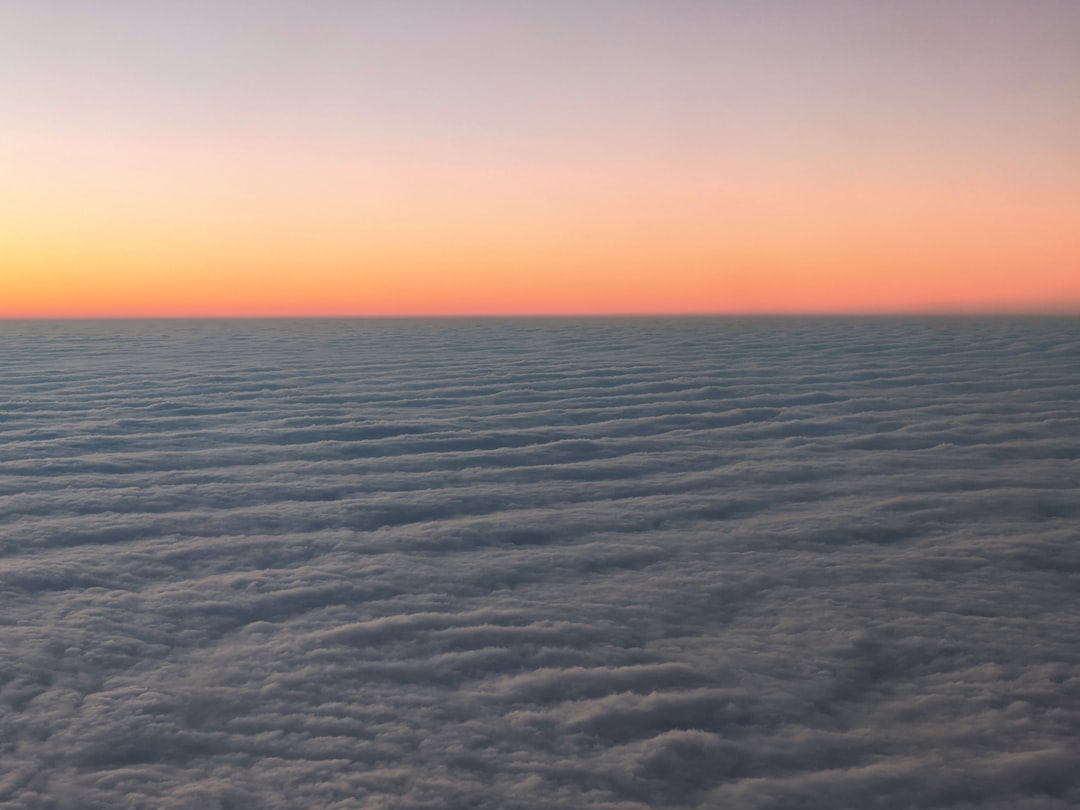 Flights