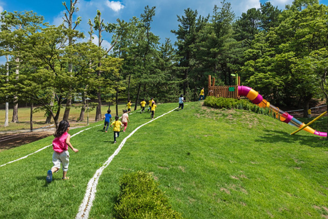 봄꽃구경 가볼만한 곳