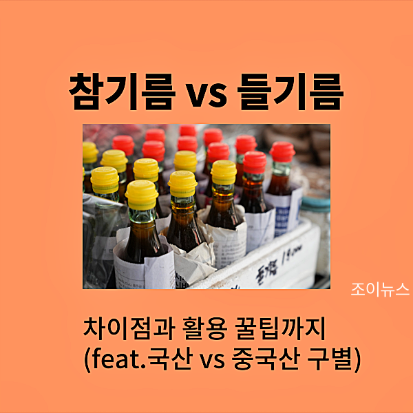 참기름vs들기름의 차이점과 활용 꿀팁