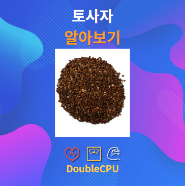 토사자 알아보기