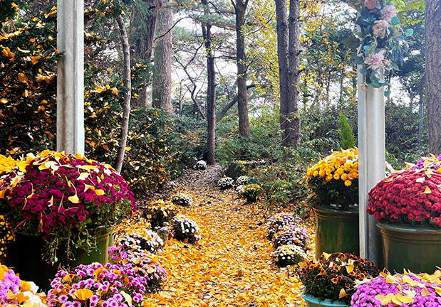 벽초지수목원 가을