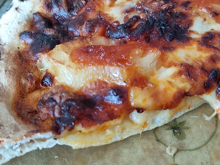 이테리 밀로 만든 새우피자