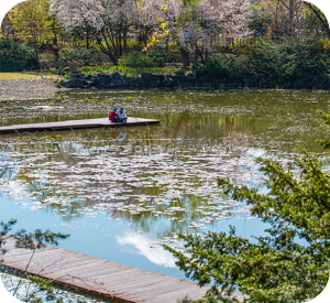 벽초지수목원 봄꽃 & 튤립축제 이미지 출처: 벽초지수목원 홈페이지
