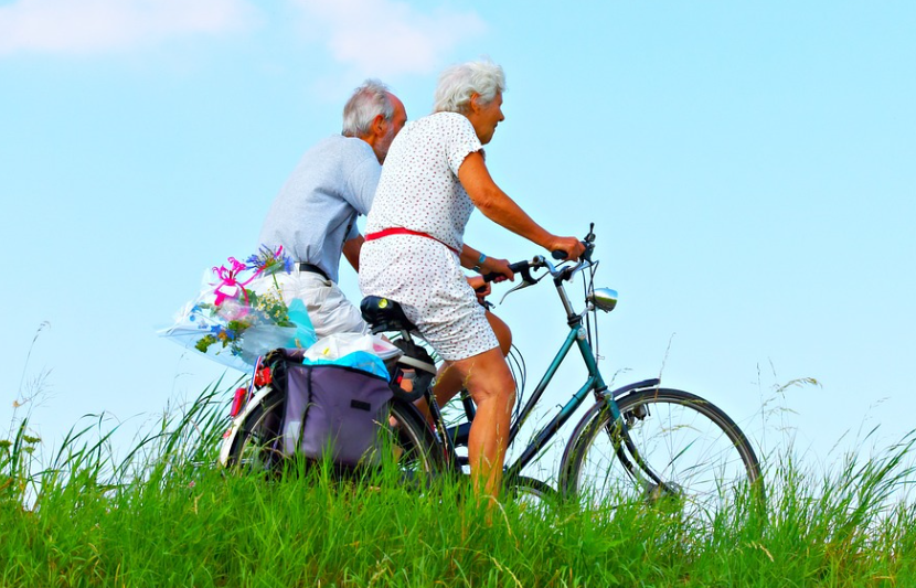 짧은 산책이 하루 전체를 가볍게 만든 날의 변화