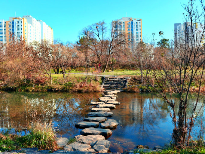 계룡 가볼만한곳 베스트10