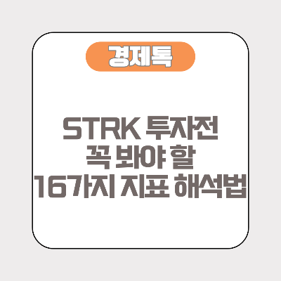 STRK 투자전 꼭 봐야 할 16가지 지표 해석법