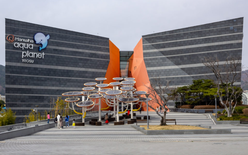 2025 여수 여행 완벽 가이드 - 숨은 명소부터 맛집까지!