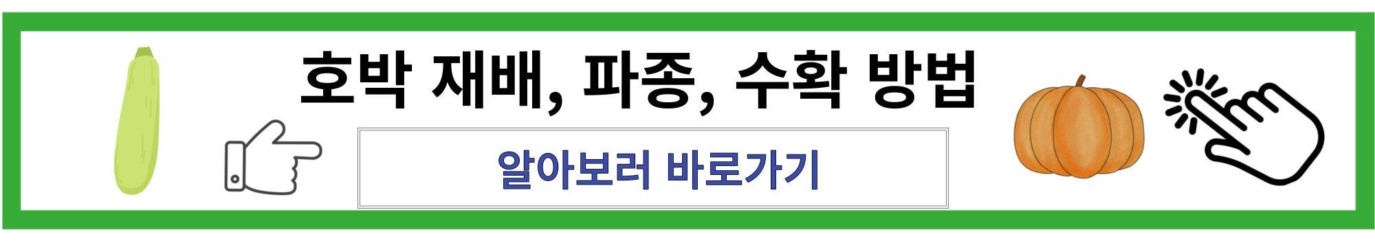 호박 재배 방법